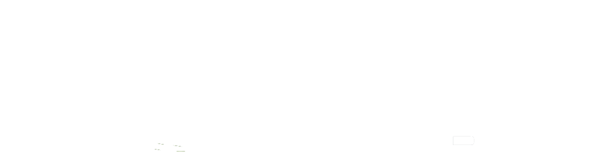 Serra Auto Park logo
